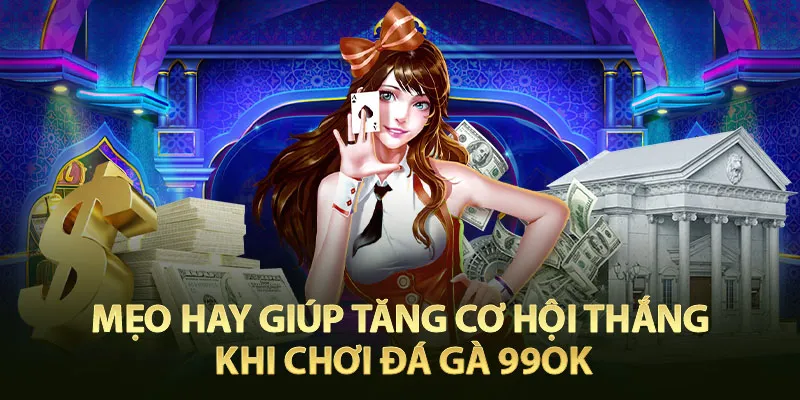 Mẹo Hay Giúp Tăng Cơ Hội Thắng Khi Chơi Đá Gà 99OK